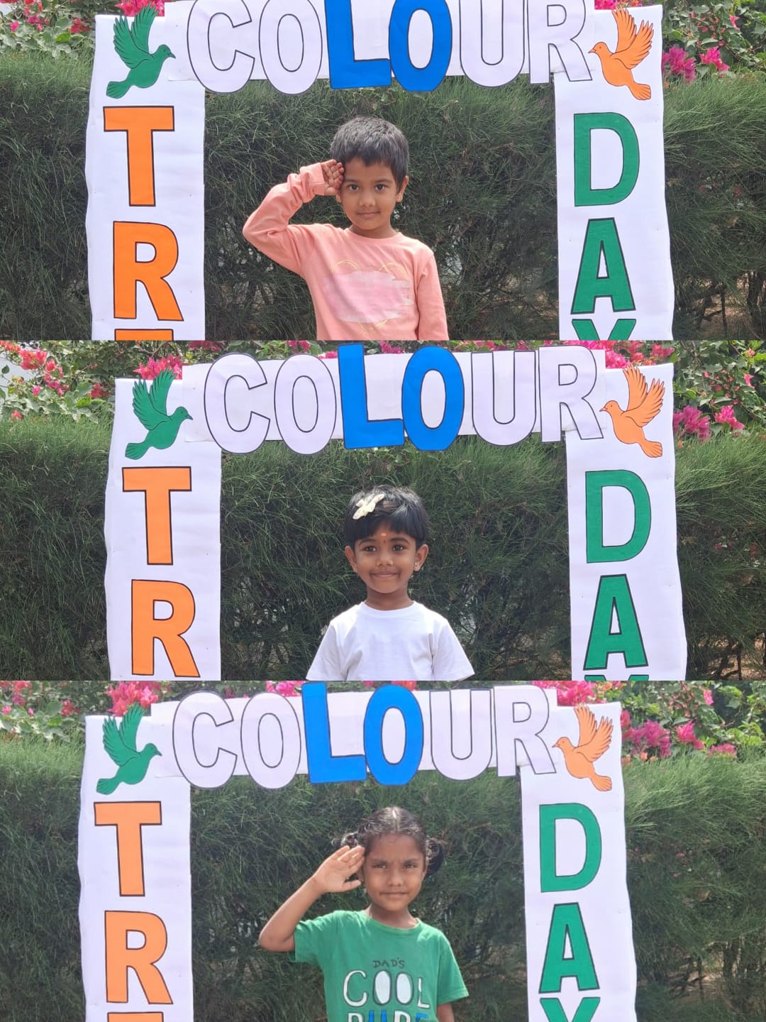 Tri Colour Day Celebration