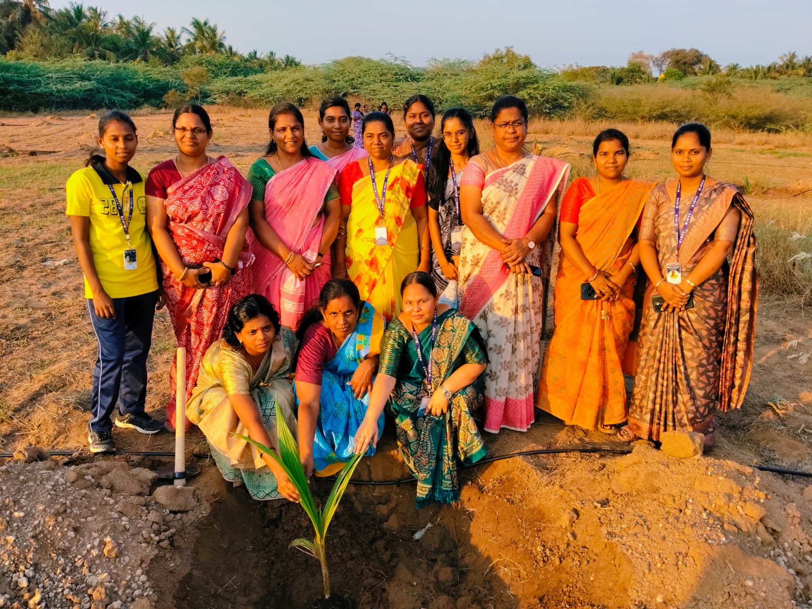 Coconut Sapling  plantation Drive